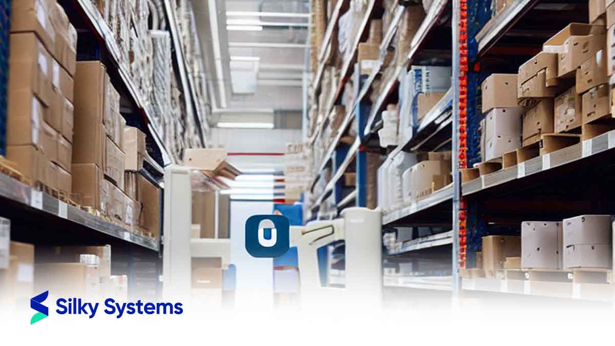 Streamlining Order Management with Silky Systems' Order Gate: A Game Changer for Retailers and Wholesalers